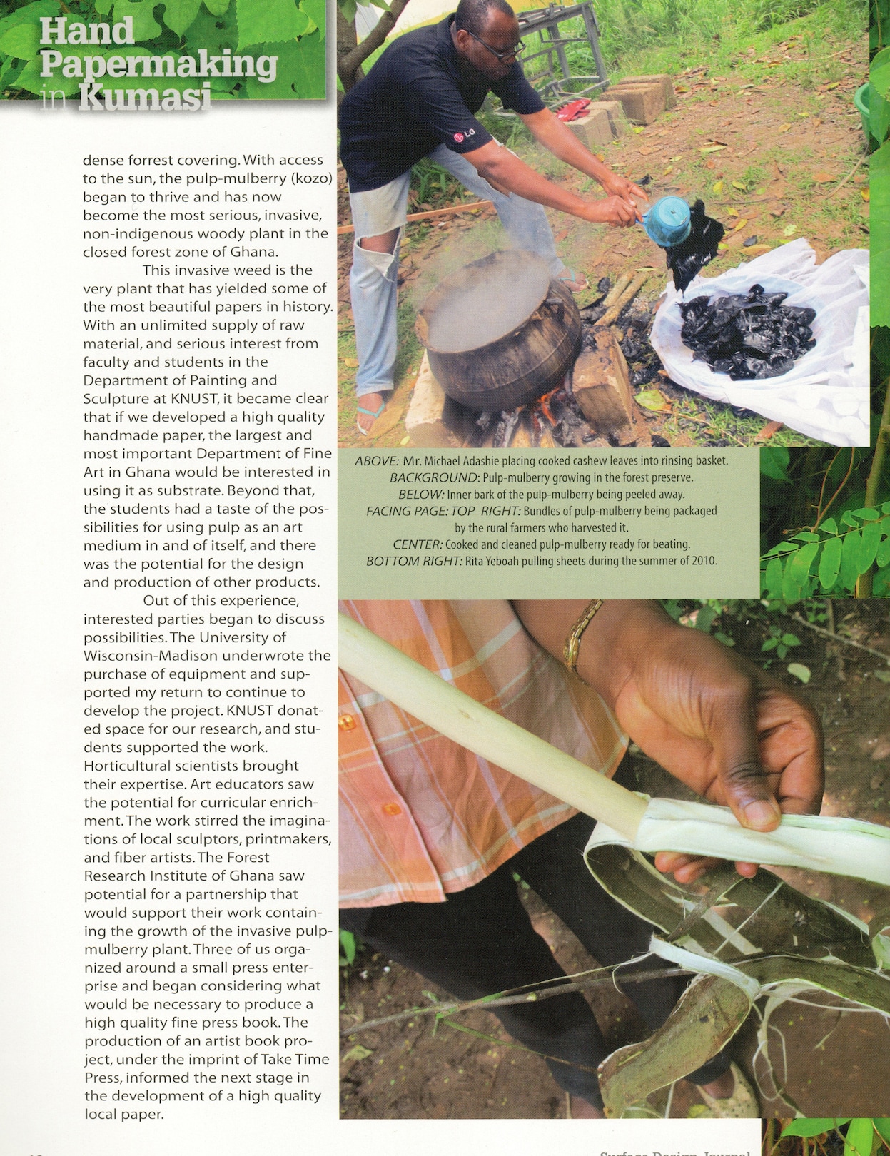 Photos of paper-craft artisan Michael Adashie handling plants and pulp as part of the papermaking process.