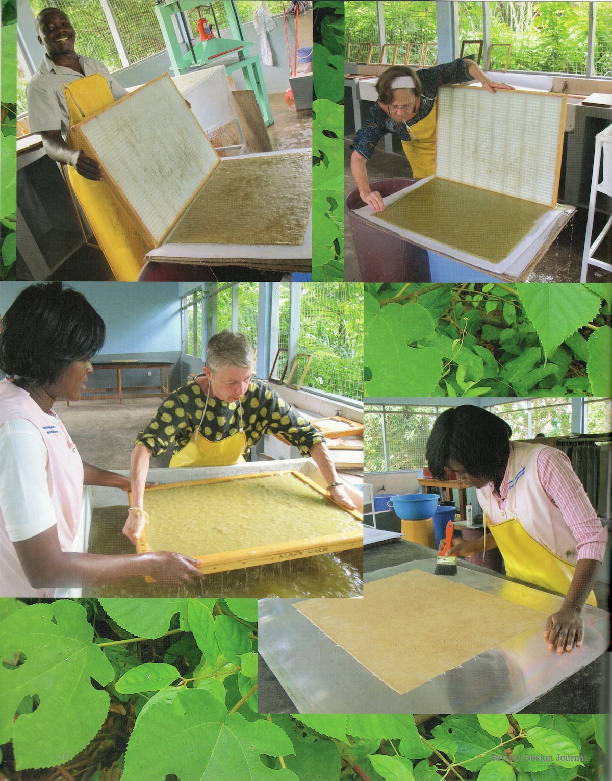 4 photos of 3 people wearing aprons while pressing wet plant fibers into paper-sheets with screens amidst a green plant background.